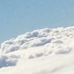 Meet your Posher, Jack